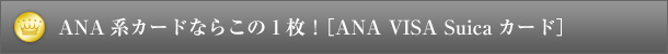 ANA系カードならこの1枚！［ANA VISA Suicaカード］