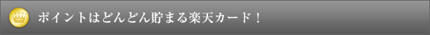 ポイントはどんどん貯まる楽天カード!